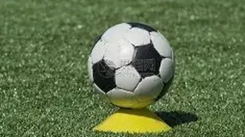 开云体育app优惠 产品 092548 wrd