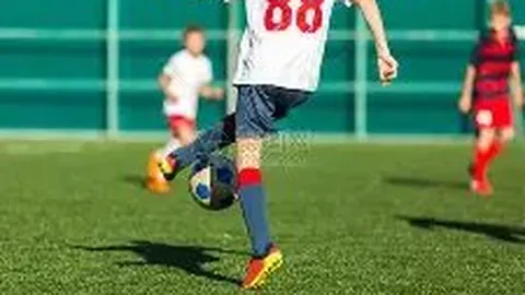 开云体育app优惠 产品 085054 1qn