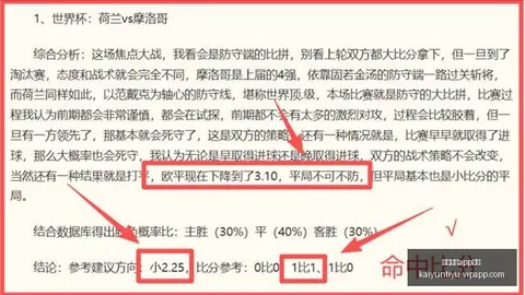 美国对决波黑开云体育App优惠：数据背后的真相，不容忽视的赛况分析